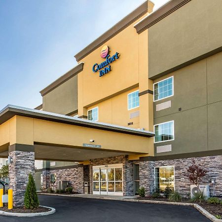Comfort Inn Airport Memphis Eksteriør bilde